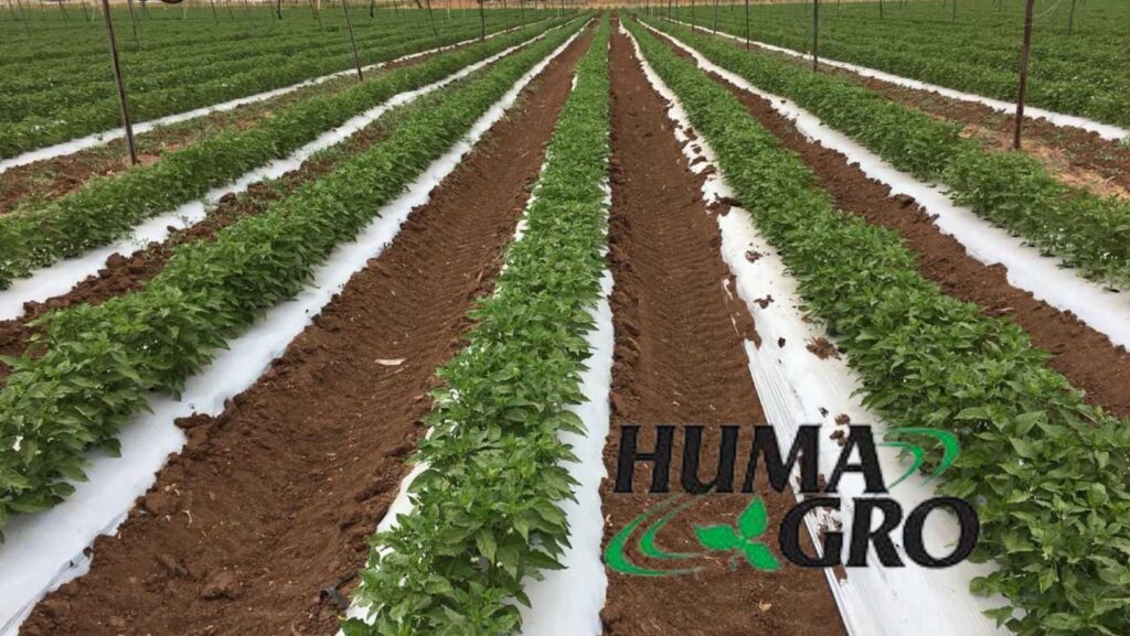 HUMA GRO®